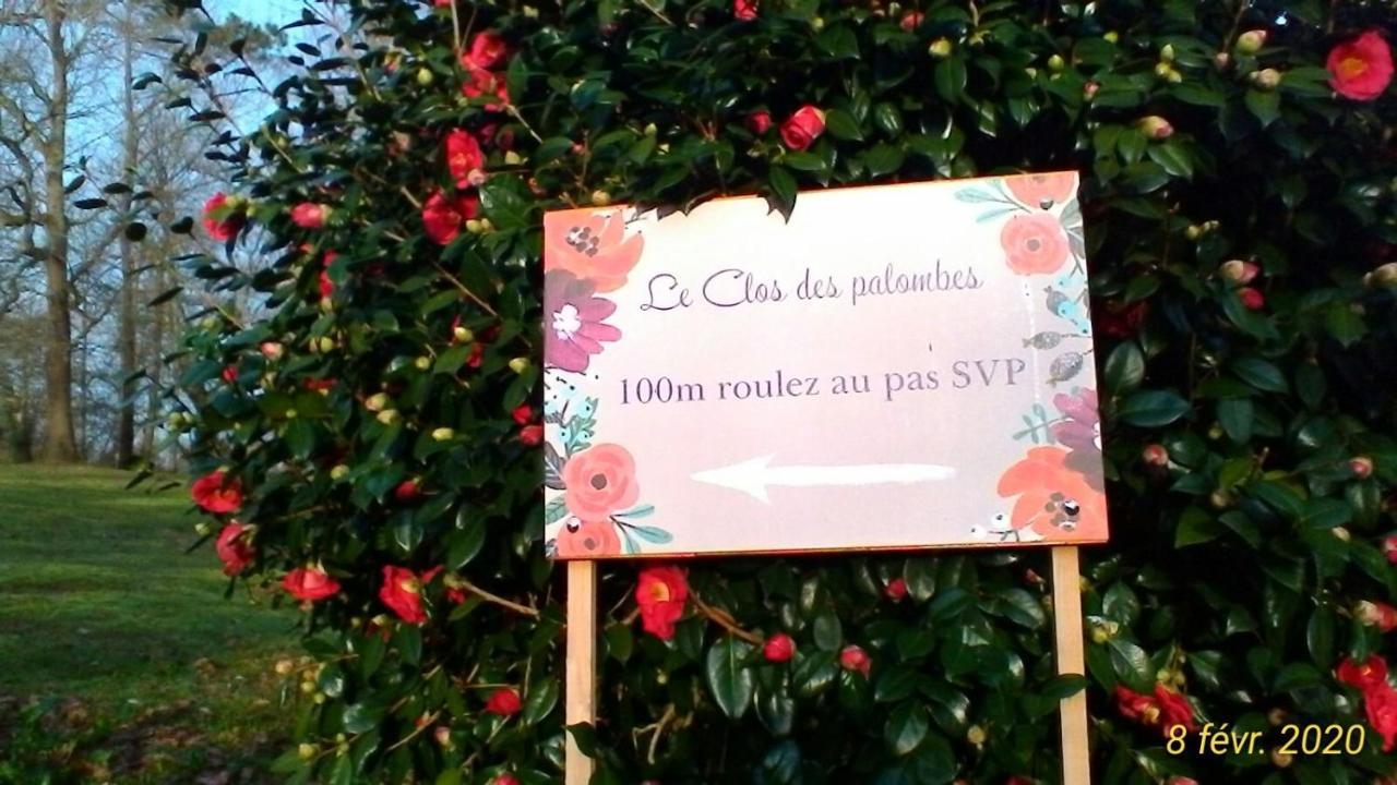 Le Clos Des Palombes Wifi Climatisation Saint-Pierre-du-Mont  Exterior foto