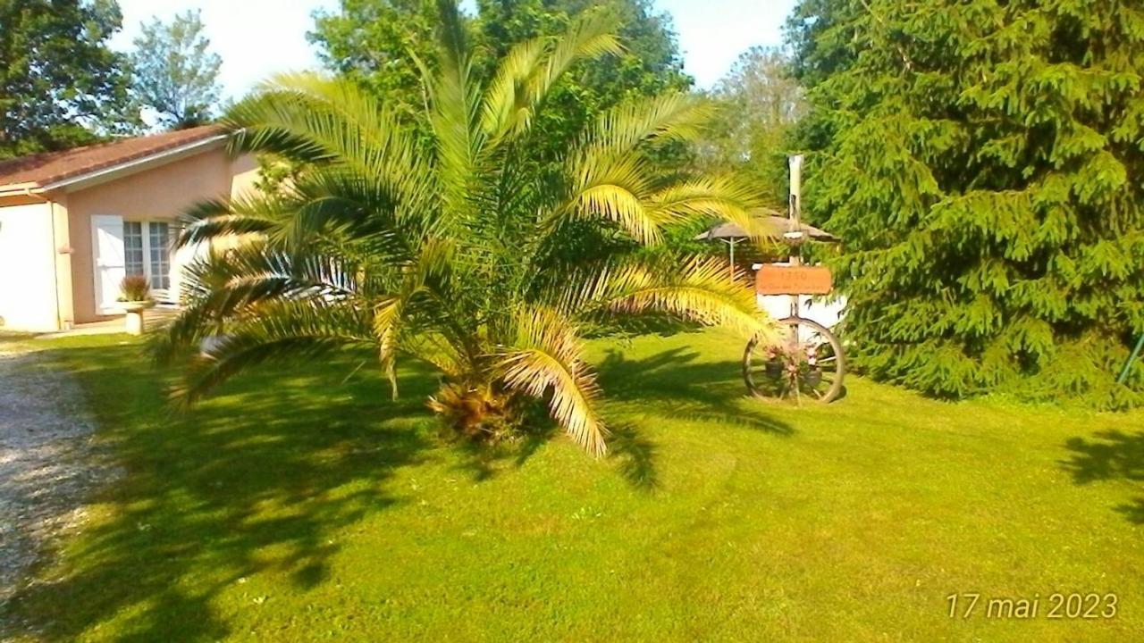 Le Clos Des Palombes Wifi Climatisation Saint-Pierre-du-Mont  Exterior foto